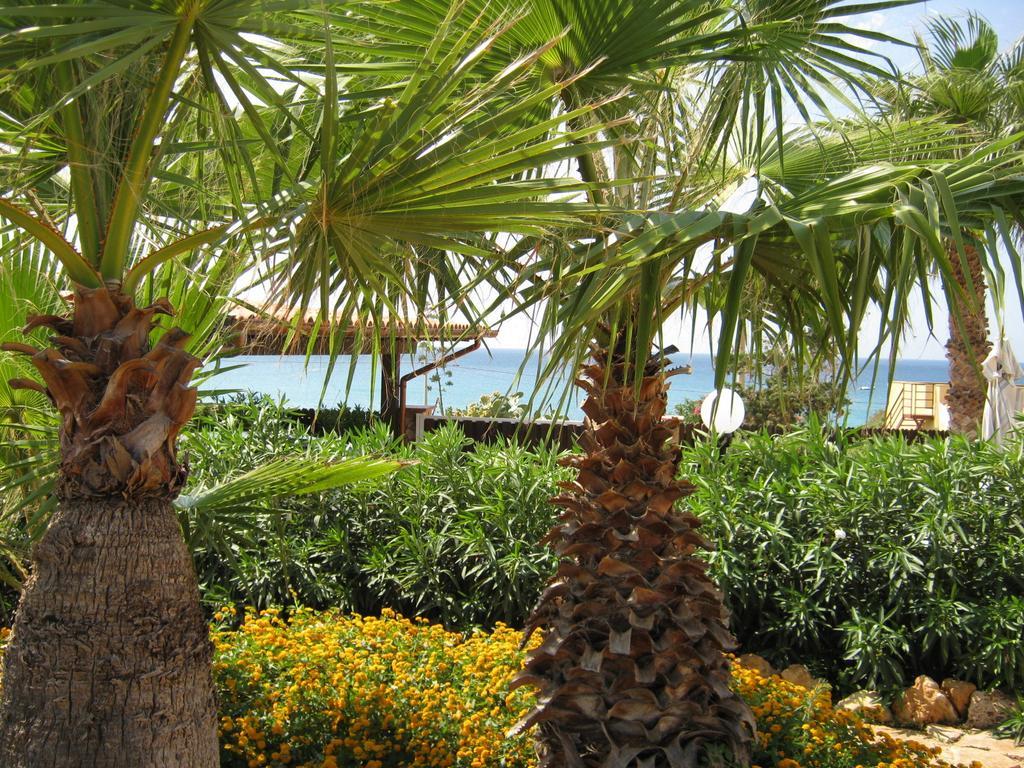 Villa Baia Di Cornino Custonaci Habitación foto