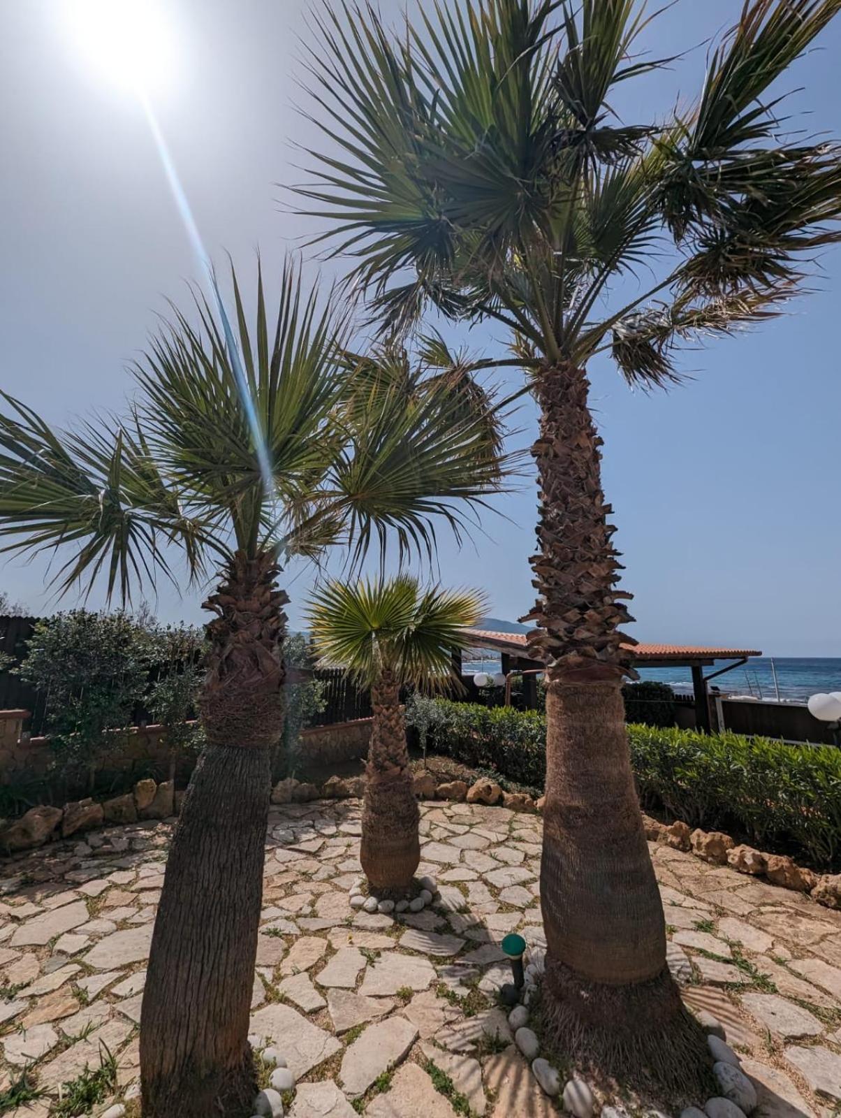 Villa Baia Di Cornino Custonaci Exterior foto